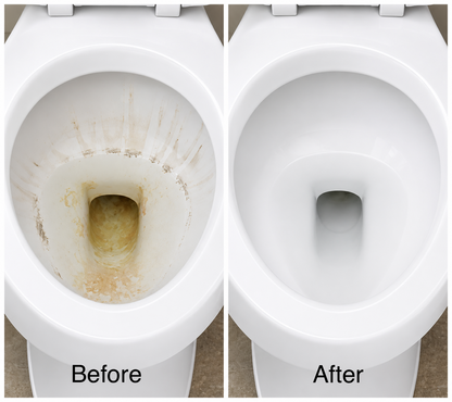 Disposable Toilet Brush